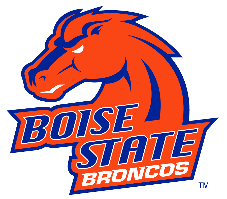 Boise State Broncos 2002-2012 Secondary Logo v16 DIY iron on transfer (heat transfer)